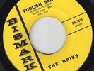 BRIKS-45-Powerhouse 1966 Denton TEXAS Garage-Punk