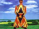 DAVID BOWIE EARTHLING LP VINYL 33RPM NEW