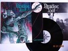 Paradise Lost - Lost Paradise Vinyl 1990 1. PRESS - RARE  