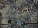 Wild Life - 1st EX Paul McCartney and Wings UK vinyl LP album record PCS7142