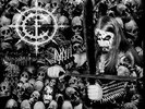 CARPATHIAN FOREST - Morbid Fascination of Death  LP
