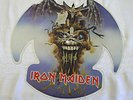 Iron Maiden The Evil That Men Do Rare Cut To Shape Picture Disc