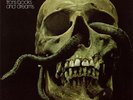 MESSAGE-FROM BOOKS AND DREAMS-VINYL LP BACILLUS NEW