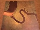 Dead Can Dance, The Serpent's Egg. 1988 LP. Lisa Gerrard. Orig. 4AD CAD 808. EX+