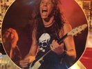 Metallica - James Hetfield - Vinyl Album Picture Disc - Recorded Live
