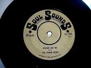 The Human Beinz . Nobody but me . Soul Sounds 1005.