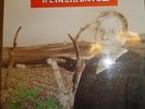 LP. REINCIDENTES -  SOL Y RABIA