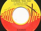 BLACKROCK on Select-O-Hit --BLACKROCK YEAH YEAH-- funk psych 45 | ORIG | LISTEN