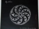 CLAY ALLISON Electric Banana '84 LP New 300 Made Clear Vinyl Not TMOQ Mazzy Star