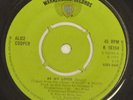Alice Cooper 7