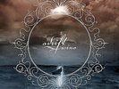 Adrift * by Wino (Vinyl, Oct-2010, Exile on Mainstream)