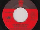 70s Soul 45 - Serena Johnson - All Work And No Play - Big 2 - VG++ mp3