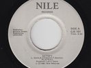 Funk Boogie 45 - Plateau - Satisfy - Nile - VG++ mp3 - unknown?
