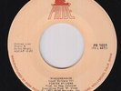 Funk 45 - Foster Sylvers - Misdemeanor - Pride - VG++ mp3 - first label