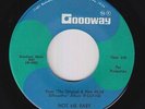 Northern Soul 45 - Silhouettes - Not Me Baby - Goodway - NM mp3 - rare original