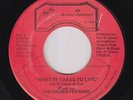 Modern Soul 45 - Chosen Few Band - What It Takes To Live - BR - VG++ mp3 - rare