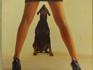 The Handsome Beasts LP 1990 The Beast Within HMR LP 132
