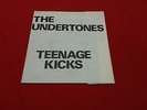 Undertones Teenage Kicks Foldout Original sleeve Good Vibrations - Sleeve only