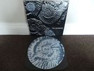THE SUNDAYS - Reading, Writing And Arithmetic(UK 1990 PICTURE DISC VINYL ALBUM)