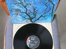 LP - Amon Düül 2 - Phallus Dei deutsche Originalpressung  aus 1969 Liberty