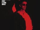 Noel gallagher's high flying birds,dying of the light vinyl