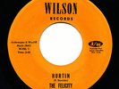 THE FELICITY (1967 Don Henley - pre Eagles) HURTIN on WILSON