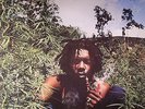 TOSH, Peter - Legalize It - LP