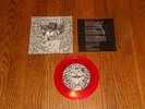 AGORAPHOBIC NOSEBLEED Insect Warfare 5