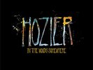 Hozier IN THE WOODS SOMEWHERE Black Friday RSD 2014 Limited NEW VINYL 10
