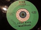 '62 DC Doowop MARVELLS For Sentimental Reasons/Come Back WINN 1916 original vg+