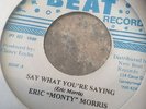 Say What Your Saying - Eric Monty Morris