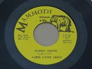 LYNNE, LARRY GROUP SUDDEN CHANGE MAMMOTH orig US GARAGE RURAL ROCK 7