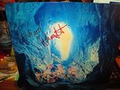 THE VERVE A Storm In Heaven Gatefold UK LP 1993 HUTLP 10 Signed N.Mint