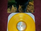 blink 182 - dude ranch 2nd press on orange vinyl limited to 500