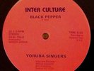 YORUBA SINGERS 