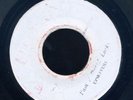 UPS1 LEE PERRY & UPSETTERS-I AM A DREAD LOCKS-UPSETTER-REGGAE 45 7