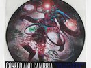 COHEED AND CAMBRIA The Afterman Descension Vinyl lp PICTURE DISC NEW thrice