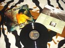 Bruce Springsteen ?– The Ghost Of Tom Joad BRAZIL PRESS