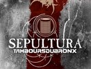 SEPULTURA - Tambours du Bronx: Metal Veins ? Alive at Rock in Rio  DLP  MARBLED