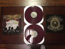 FALL OUT BOY From Under The Cork Tree DOUBLE LP COLOR VINYL rare UNPLAYED