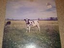 PINK FLOYD THE DARKSIDE OF THE MOO SCREAMING ABDABS