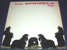 1960 Spaniels Spaniels LP, stereo 2P circa 64
