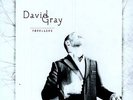 Foundling - Gray,David (2010, Vinyl New)