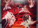 LP Immolation - Dawn of Possession 1991 Holland TOP condition Obituary Deicide