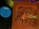 SCARCE '70 ORIG   FEVER TREE   FOR SALE Hard Garage Psych + 12:56 HEY JOE & LOVE