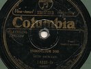 SETH RICHARD COLUMBIA 14325 BLUES 78 RPM RECORD V-