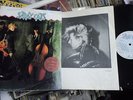 Stray cats 12