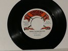Pisces Bring It Along Brother / Motley Mary Ann 7