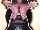 T.Rex Metal Guru (Megamix) UK 5