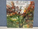 Ludovico Einaudi ?- In A Time Lapse 2-LP (NEW 2013 Vinyl) Modern Classical/Piano
